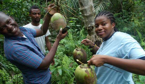 Ghanaian entrepreneur finds success by growing and selling coconuts