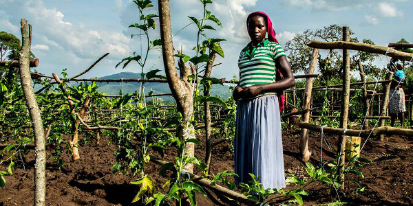 Eric Kaduru: The Ugandan who left his advertising job for passion fruit farming